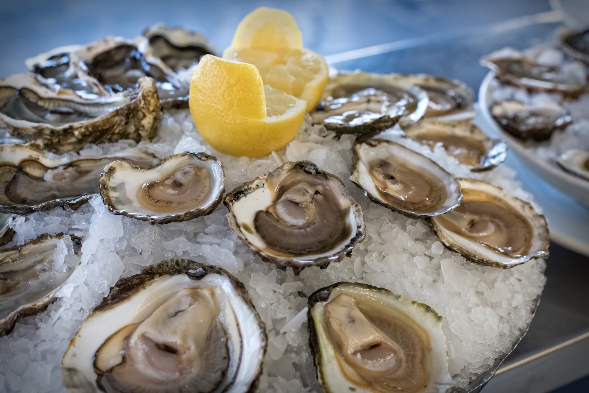 Café Maris Brasserie & Fruits de Mer à Uccle (Bruxelles)