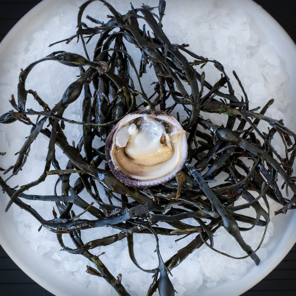 Café Maris Brasserie & Fruits de Mer à Uccle (Bruxelles)